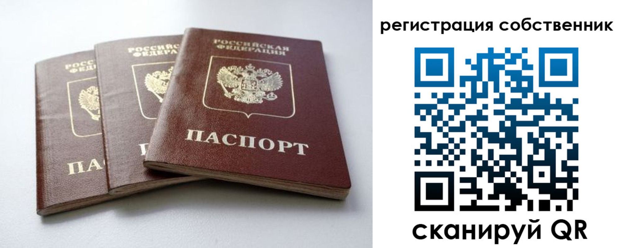 прописка для школы в Вольске
